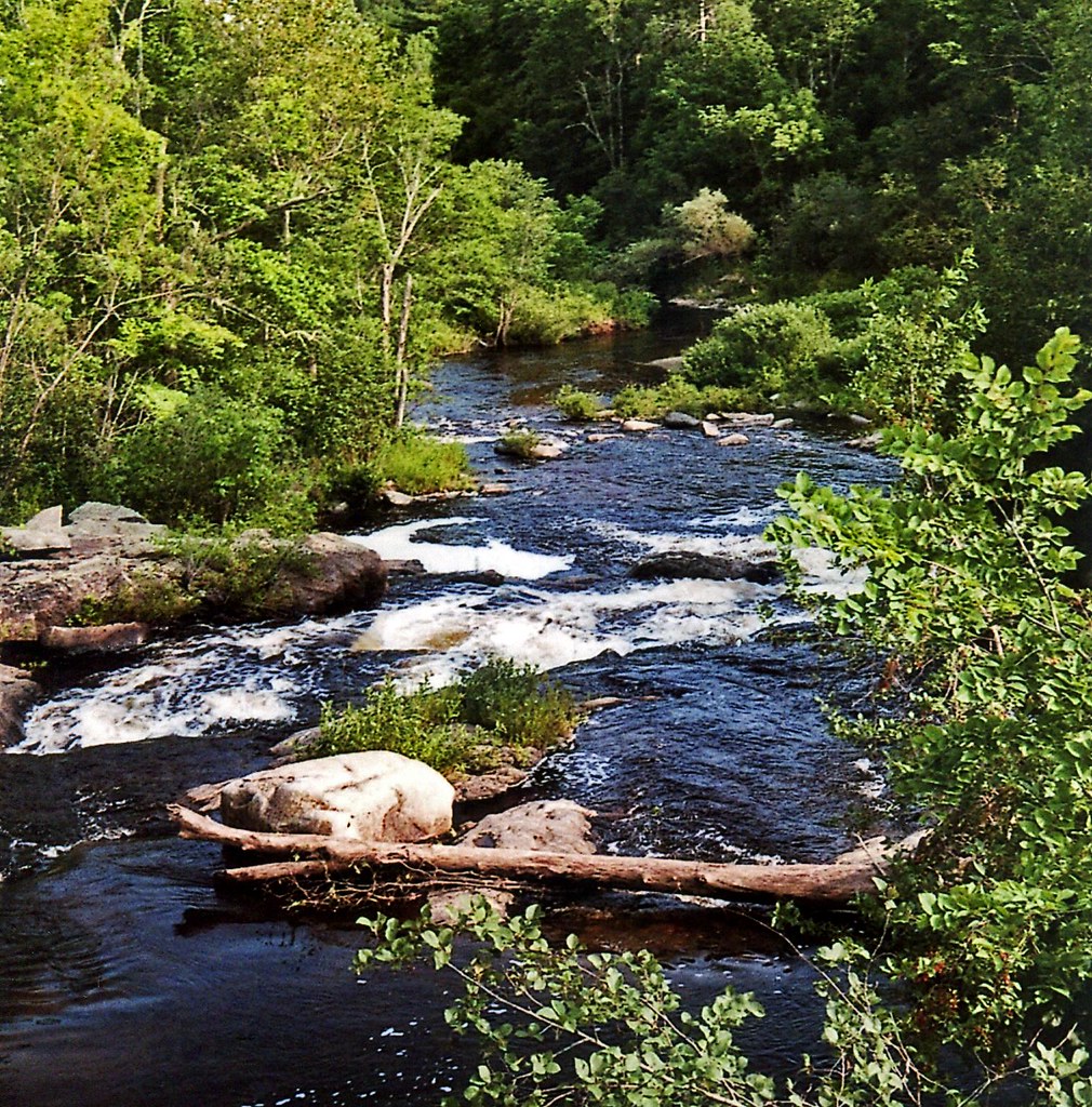 A Stream Runs Through It Marsh Stream in Maine. Nikon N80 … Flickr