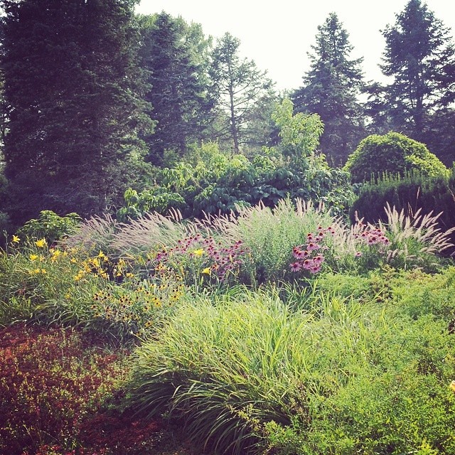 35 Landscape, Matthaei Botanical Gardens, Ann Arbor Flickr
