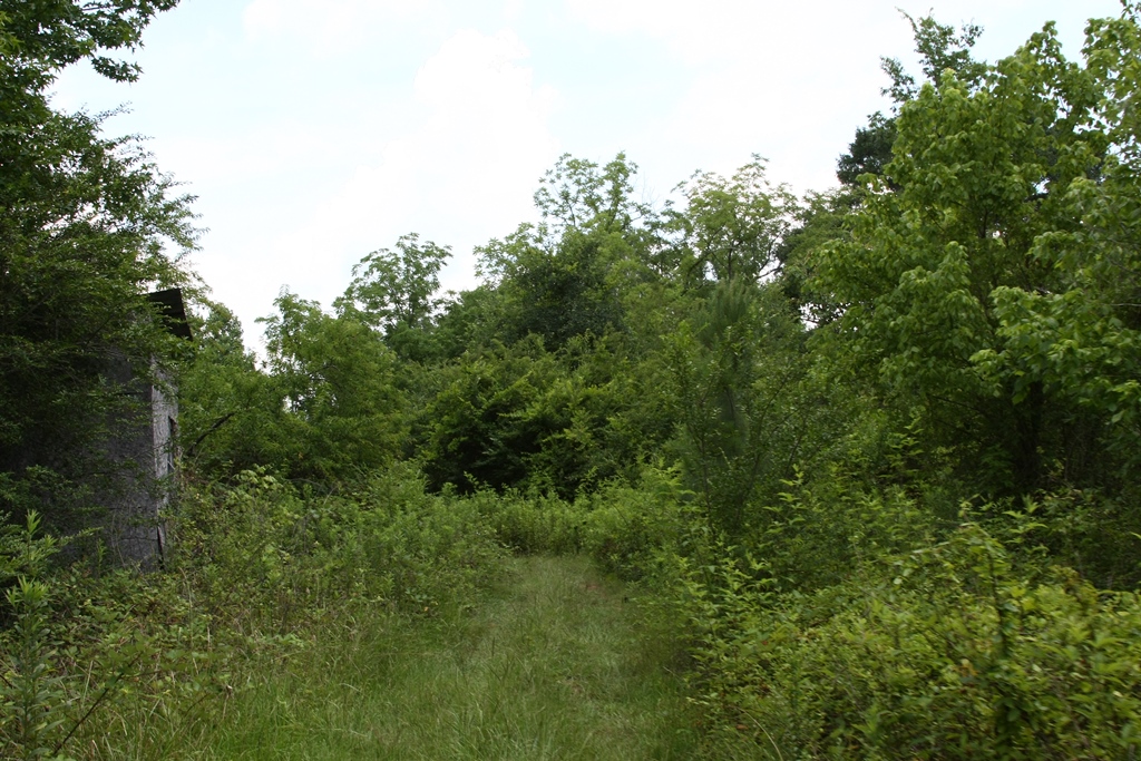 212 Acres Locust Fork River. Alabama Land Flickr