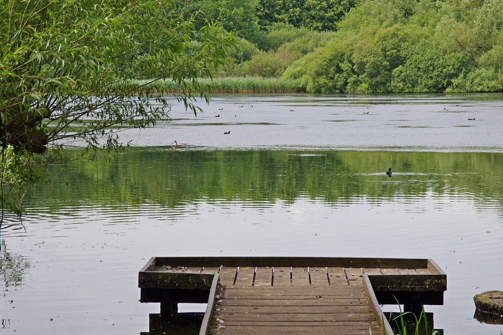 97906L Coate, Swindon, 26.6.2014 Coate Water Country Park
