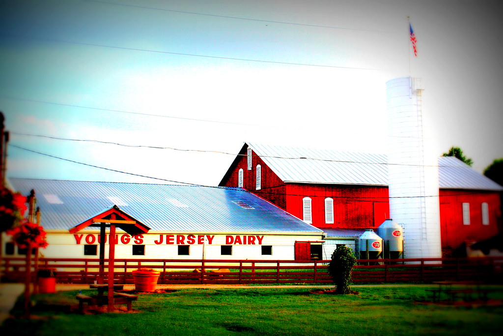 Young's Jersey Dairy. Yellow Springs, Ohio a photo on Flickriver