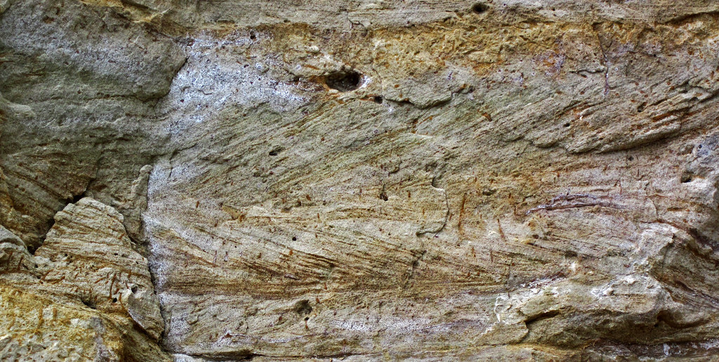 Herringbone crossstratified quartzose sandstones with trace fossils