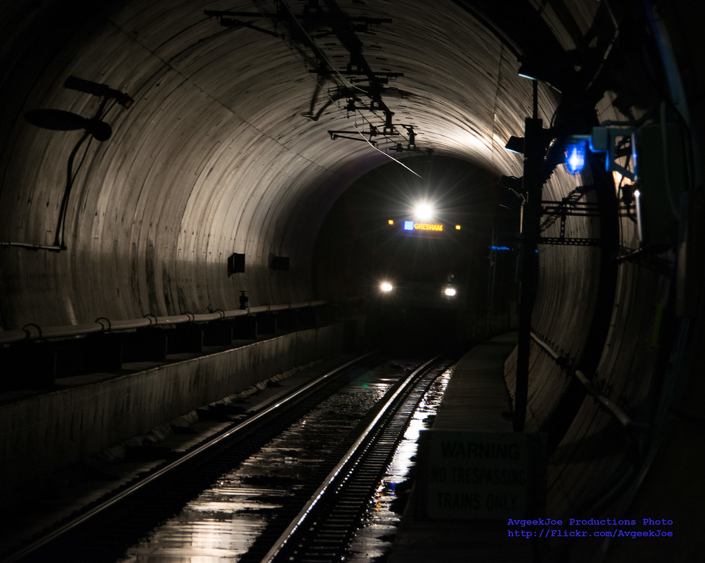 Trimet Max Map Blue Line