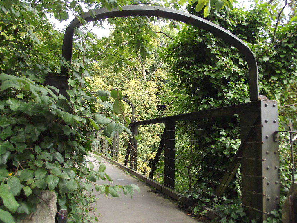 Heights of Abraham Dale Road, Matlock Bath footbridge a photo on