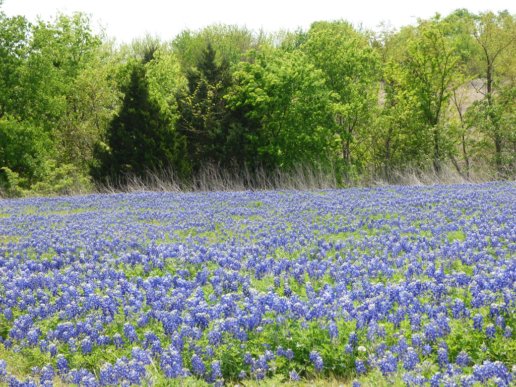 Heritage Park, Sachse, Texas April 4, 2017 Robert