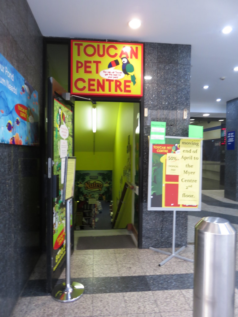 Toucan Pet Centre Relocating A basement store that has bee… Flickr