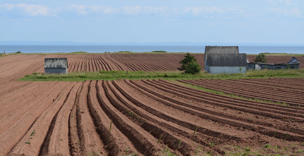 Day 41 From Souris to Vista Bay, PEI White Sands, PEI … Flickr