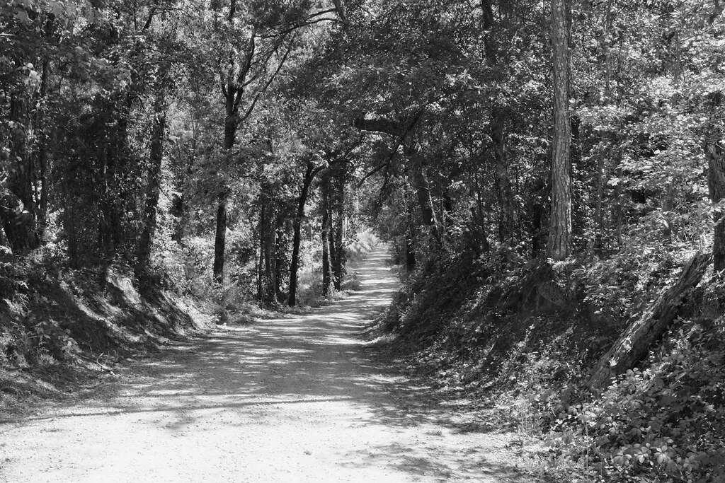 Jonesroad2BW Near Hampton, GA Neal Wellons Flickr