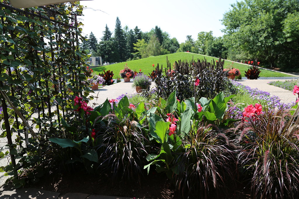 Dale Tully Botanic Gardens 2014 151 Gary Haddan Flickr