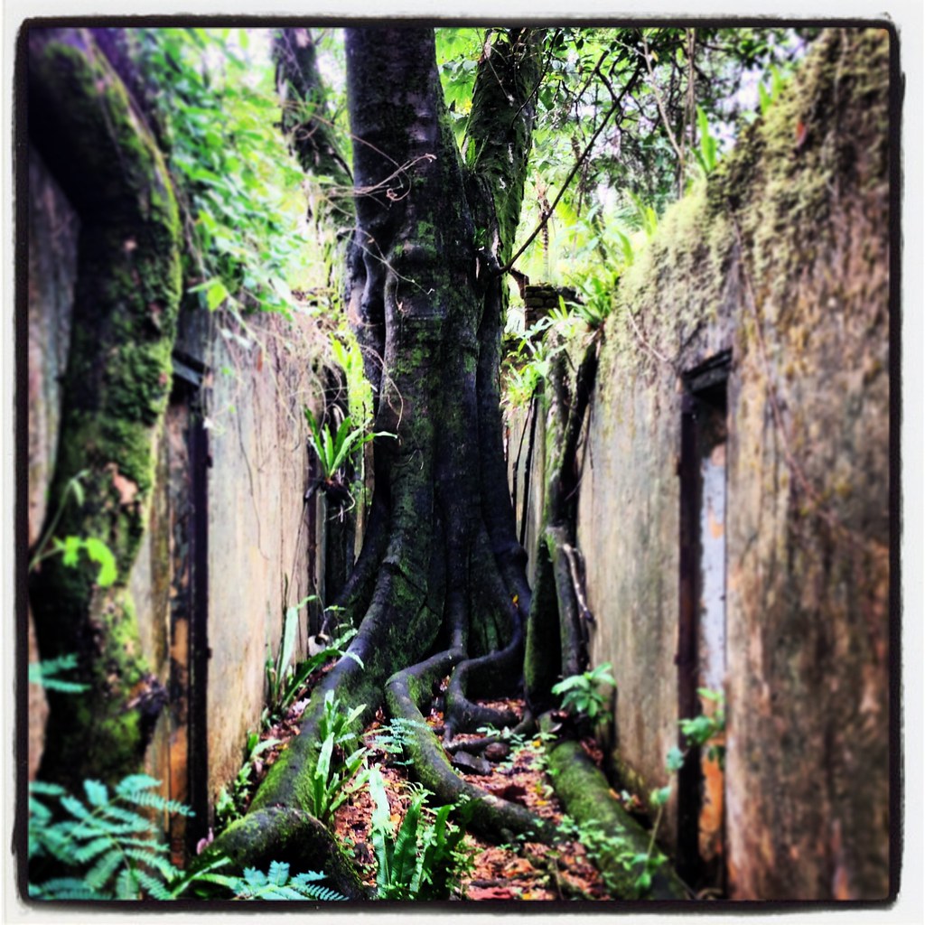 photo 16 Xavier LefebvreMusy Flickr