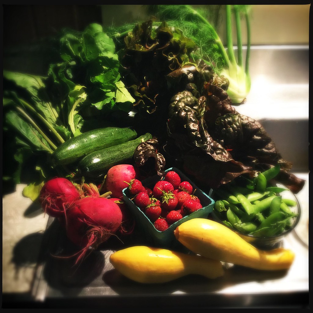 Stillman's Farm CSA week 2. Fennel, Peas,Beets,Romaine let… Flickr