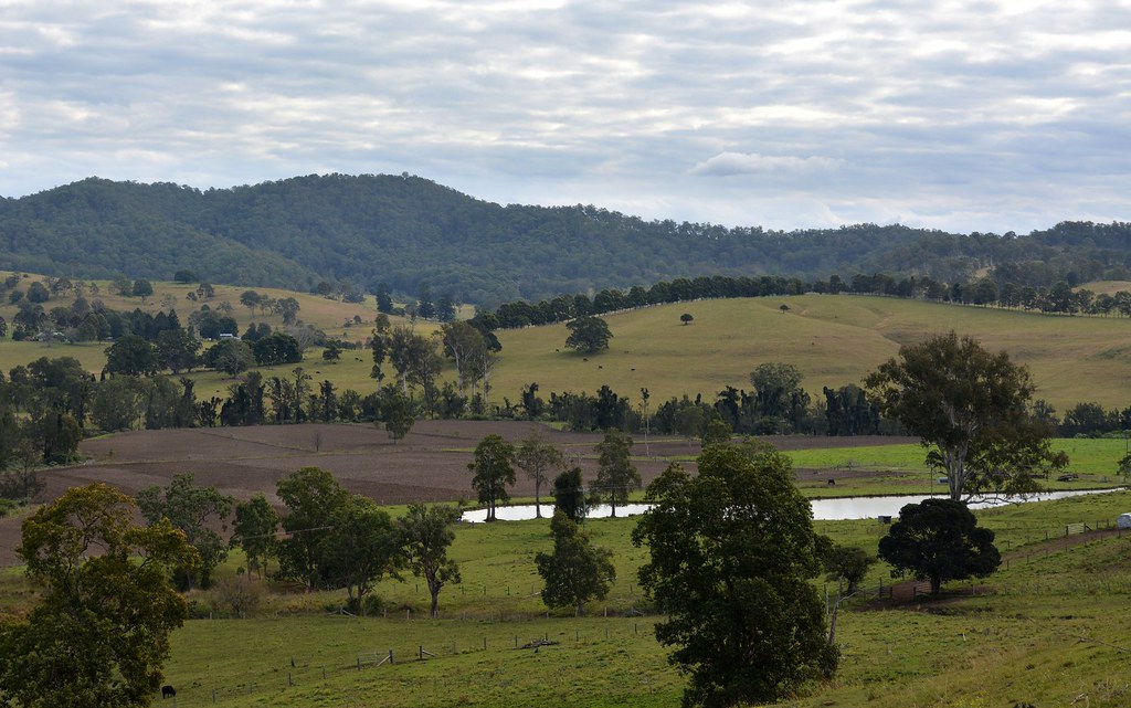 Iron Pot Creek valley upstream from Ettrick NSW AU Flickr