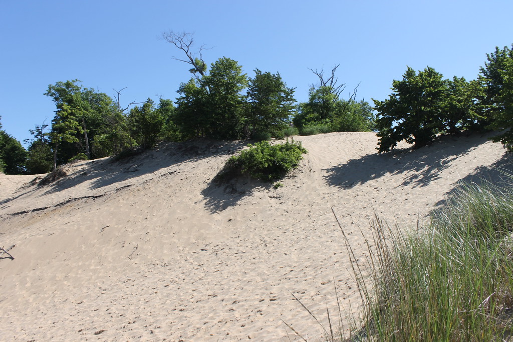 Van Buren State Park (South Haven, Michigan) July 2014 Flickr