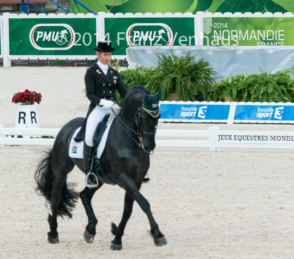 140825_Dressage_GP_1_1831.jpg Dressage Grand Prix Day 1 of… Flickr