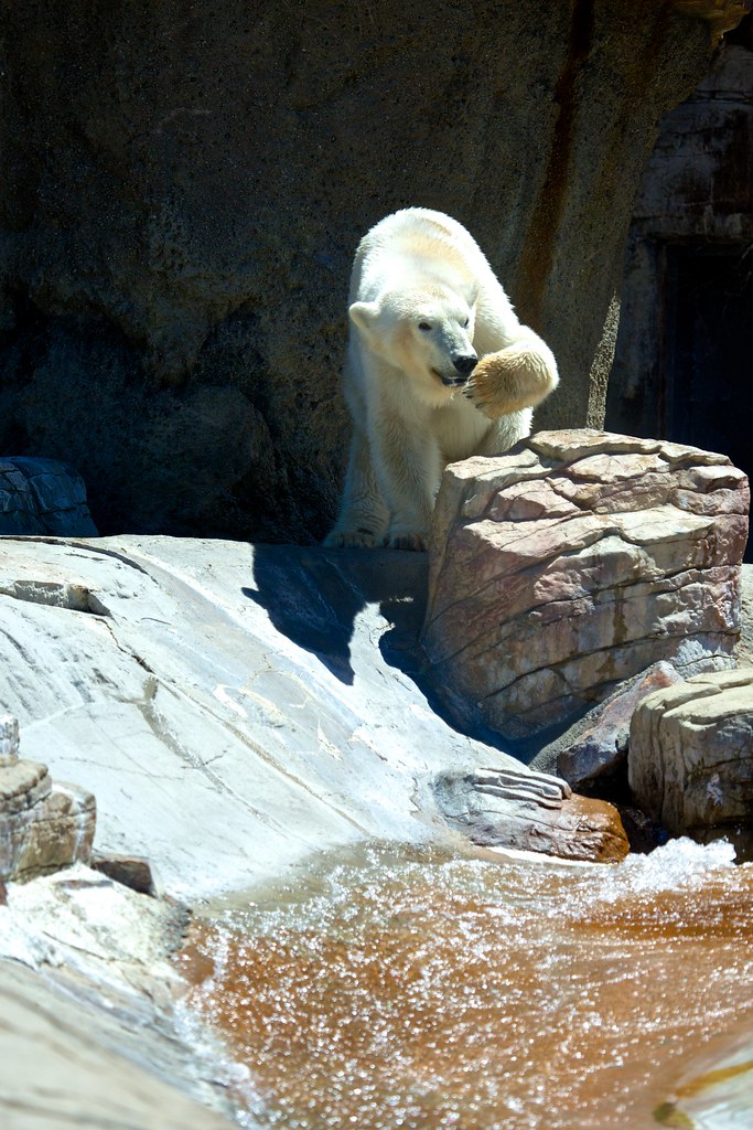 IMG_9640 Ben Mar Flickr