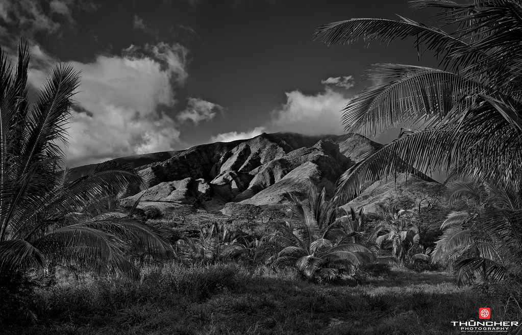 Maui 'O Ku'u Aloha No 'Oe "Maui, you are indeed my love