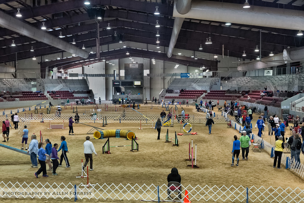 Jacksonville Equestrian Center Pals ‘N Paws Agility Trials… Flickr