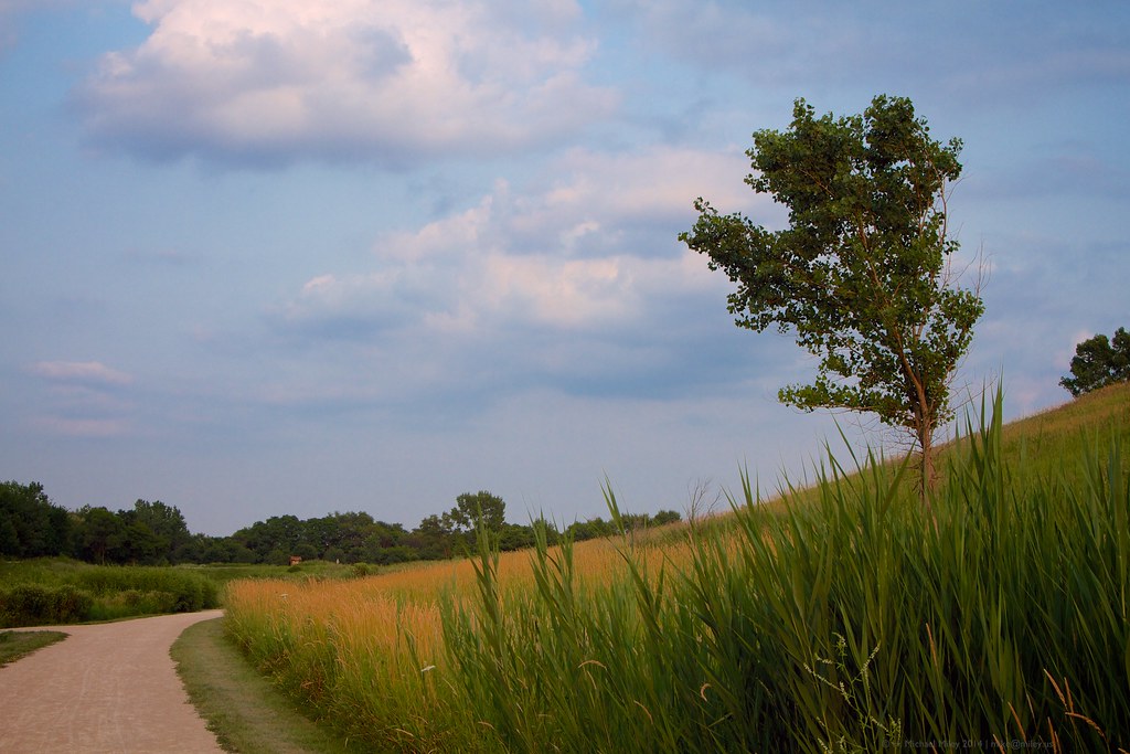 Walk in the Park Meacham Grove County Forest Preserve H. Michael
