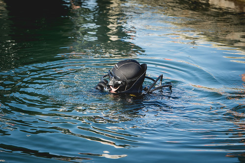 Operation Clean Sweep 2014 (Photo Michael Franke) Flickr