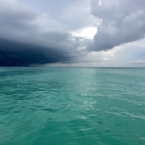 Costa Maya Living’s favorites Flickr