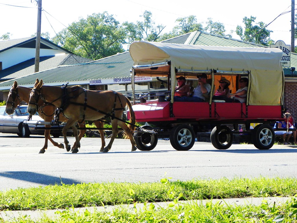 Chatsworth Wagon Train Parade 2014 Chatsworth, Se… Flickr