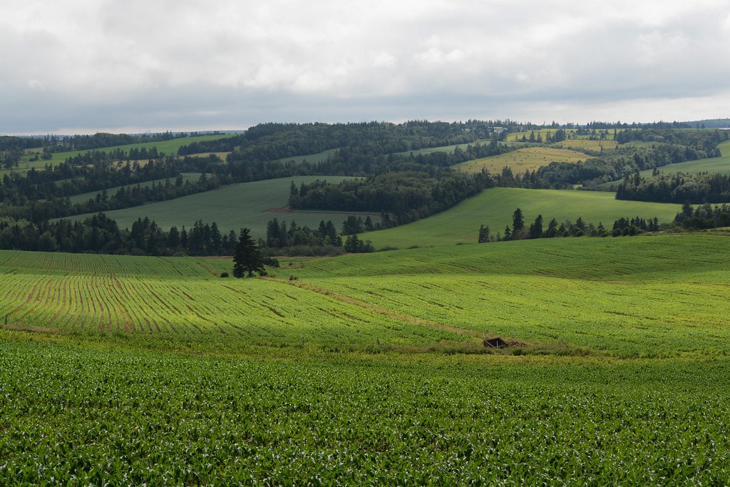 Day 35 from Summerside, PEI to Oyster Bed Bridge, PEI Flickr