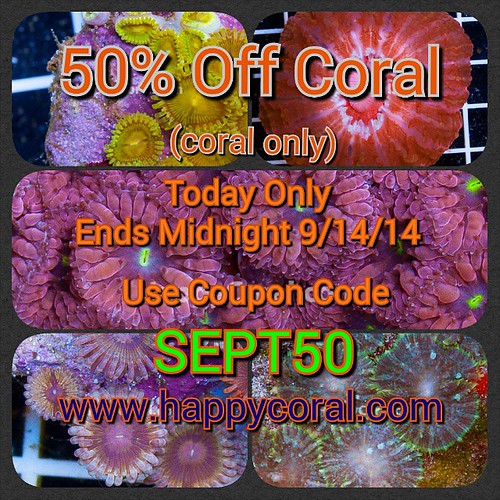 50 Off Coral Sale. Today Only. Use coupon code SEPT50 At … Flickr