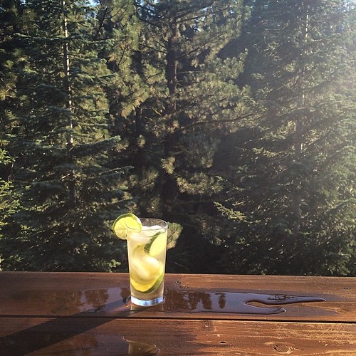 Cucumber + Gin + Ginger Beer + Lime tracy benjamin Flickr