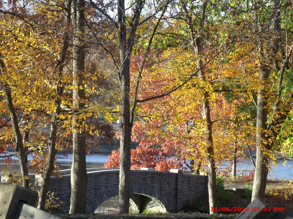Beardsley Park near my home GEDSC DIGITAL CAMERA Marci Ibrahim Flickr