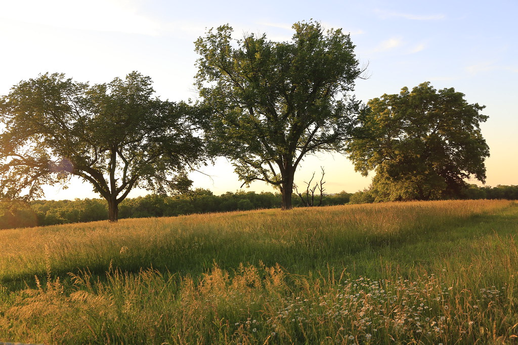 Elevation of Bridgewood, Leawood, KS, USA Topographic Map Altitude Map