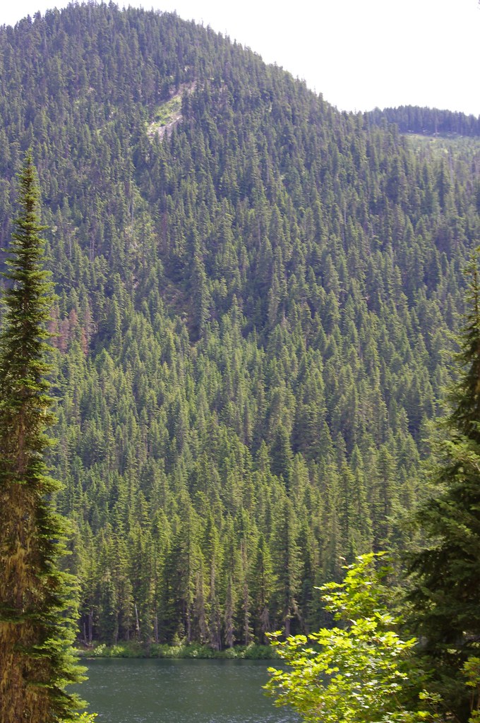 Cooper Lake 2014 Flickr