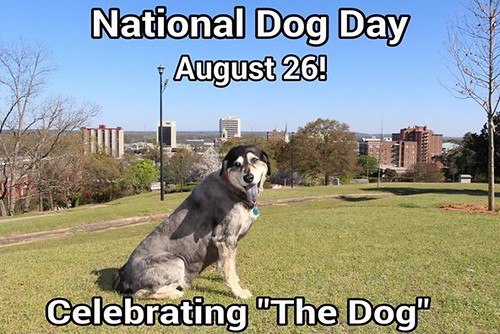 national pet day in georgia 2023 National_Dog_DayAugust Flickr