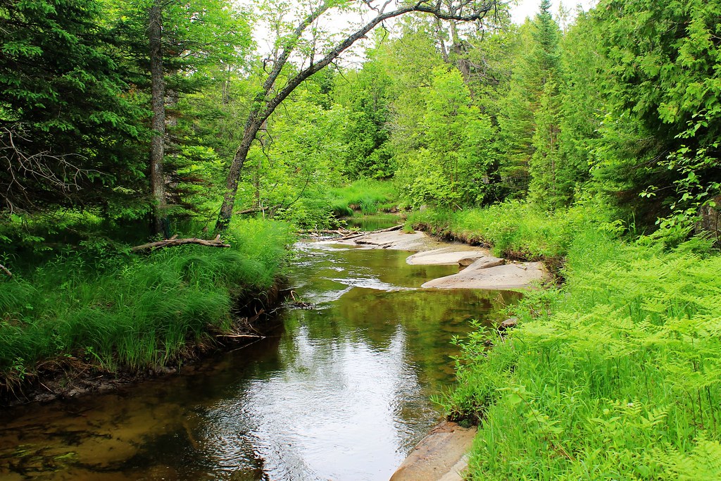 crane river crane river WDCodyClifford Flickr