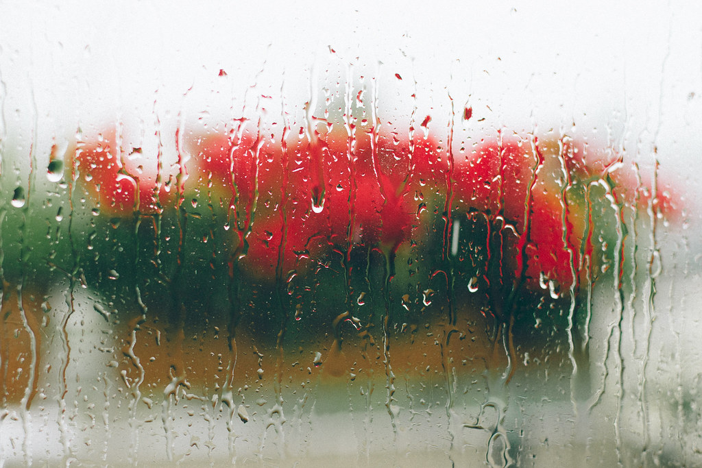 Geranium & Raindrops... [ INSTAGRAM MagiccCat ] Flickr