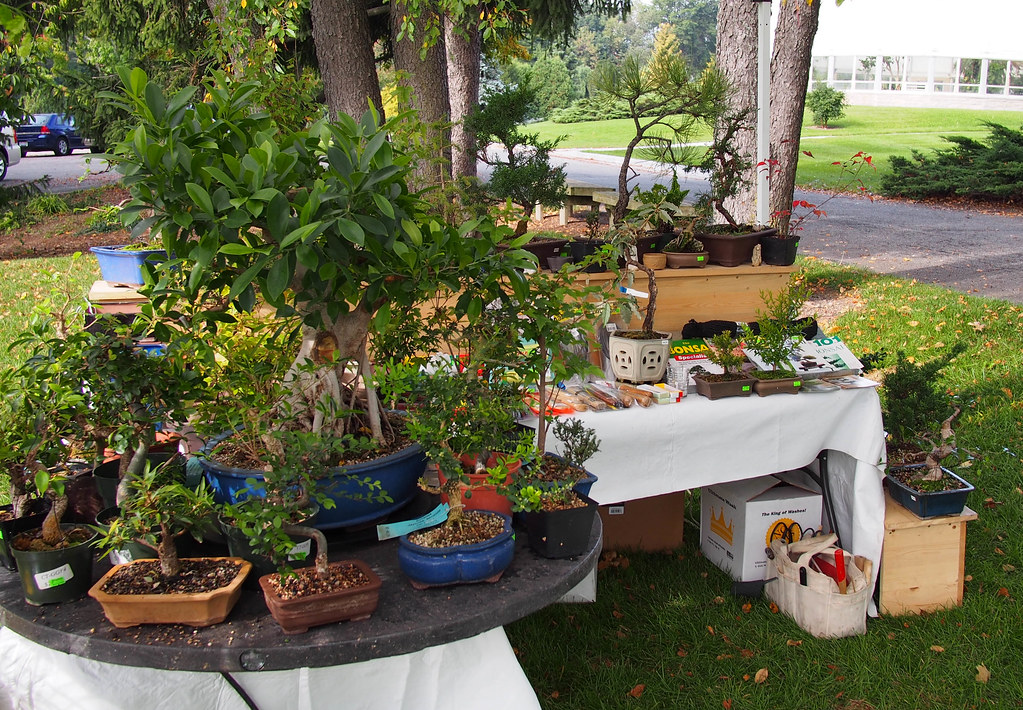 HLG Bonsai Show 2014 Bonsai Bazaar. GrowCo, Grand Rapids, … F. D