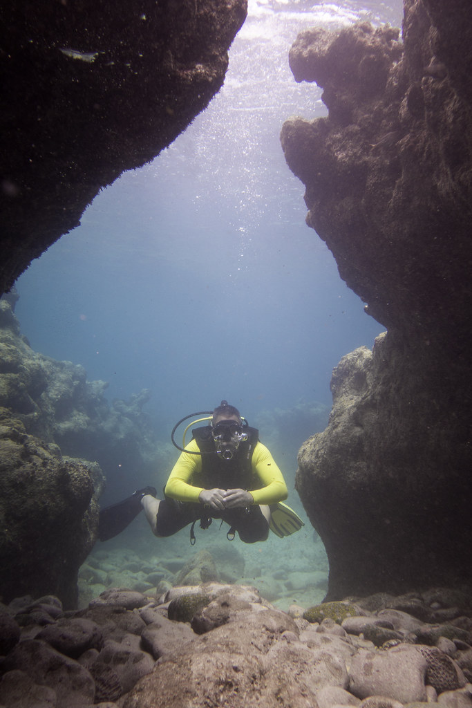 MIcrolife Dive Jim's Photostream Flickr