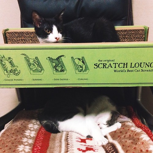 Double decker chair. vscocam Hashtags vscocam cloudythe… Flickr