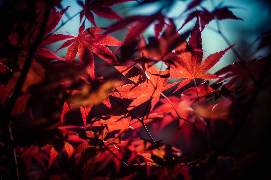 Bailey Terrace Philadelphia at Valerie Moon blog