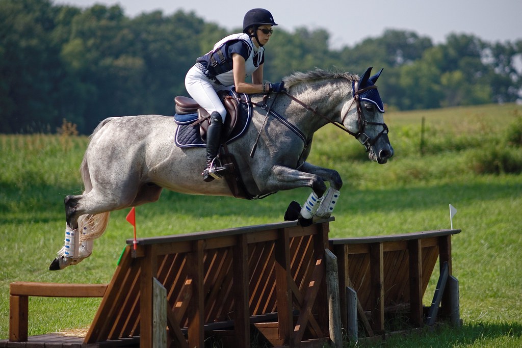 Eventing Portraits Catalpa Corner Charity Horse Trial. Ja… Flickr
