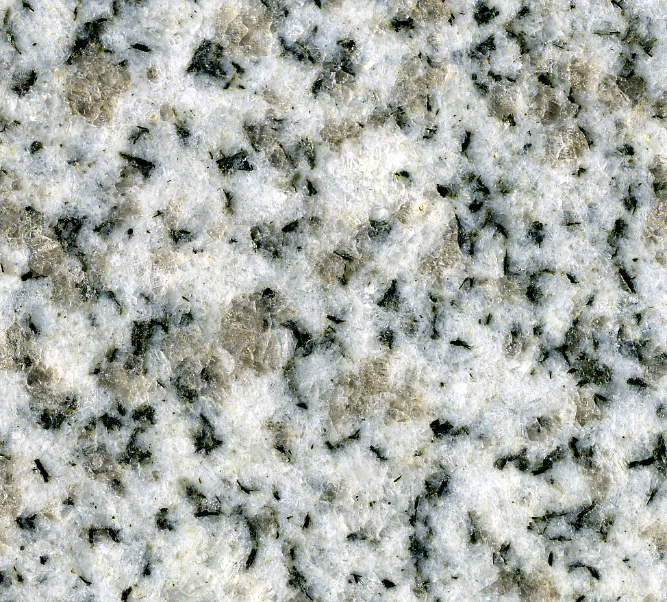 Mt. Airy Granite (granodiorite, Mt. Airy Pluton, 331337 Ma, Middle