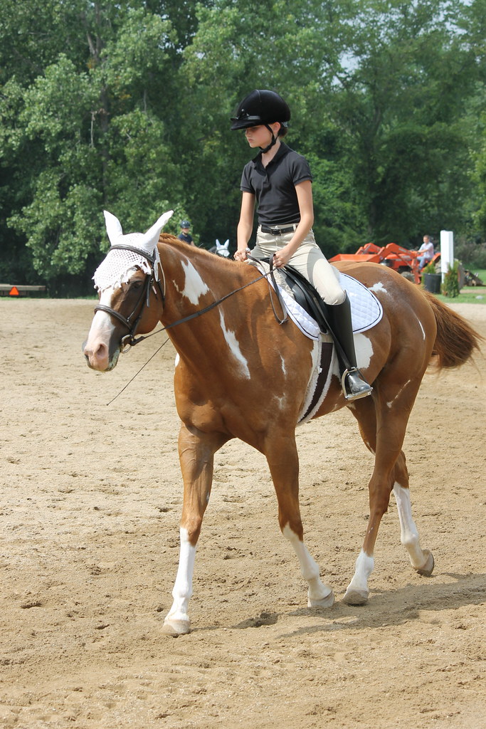 Dressage at Woodbine Schooling Show (August 24, 2014 Che… Flickr