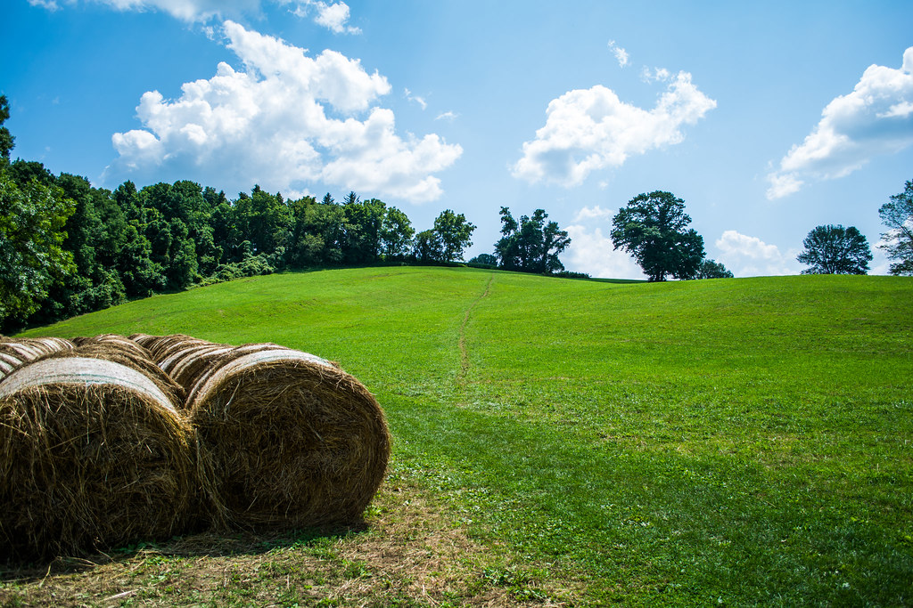 Elevation of Bullock Rd, Chadds Ford, PA, USA Topographic Map