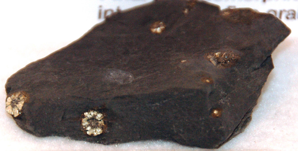 Cherry blossom stones (pinite) in hornfels (midCretaceous… Flickr