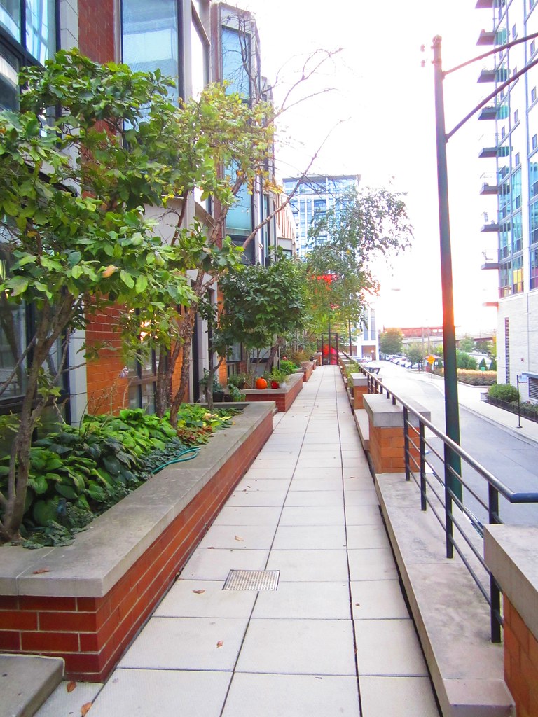 Wayman Street S28S14 052 Michael Cotter Flickr