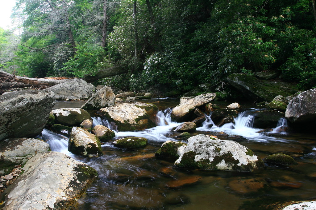 South Toe River, Western North Carolina Doug Bradley Flickr