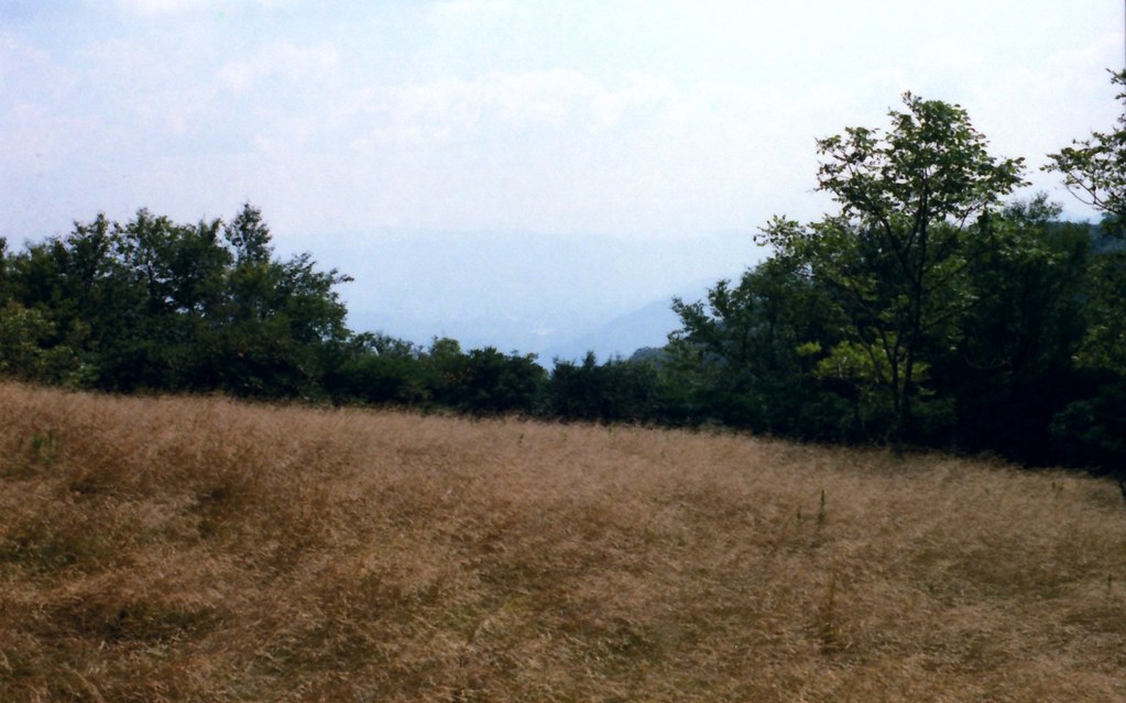 Spence Field Bald Tim er Flickr