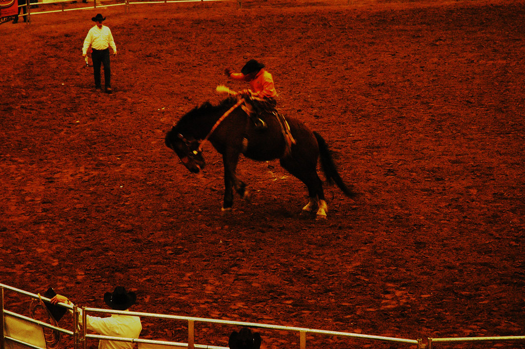 PBR Rodeo comes to Lexington Kentucky Horse Park Alltech … Flickr