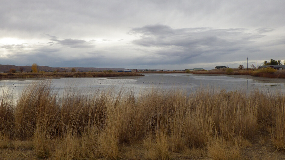 Emmett Airport Pond Emmett Airport Pond by Dennis Hardy, I… Idaho