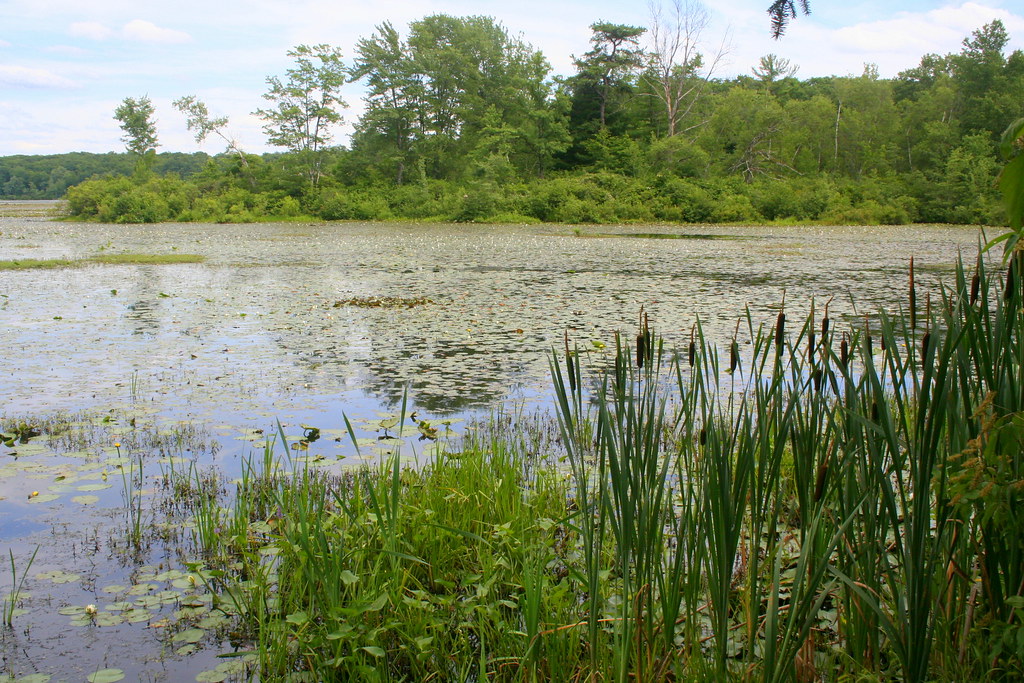 Peck's Pond,PA bulletproofsoul67 Flickr