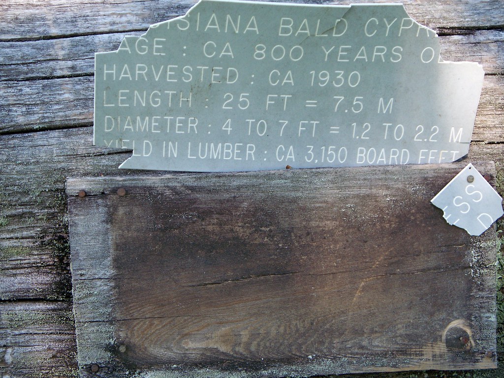 100_2801 Lutcher, Louisiana bucknejim Flickr